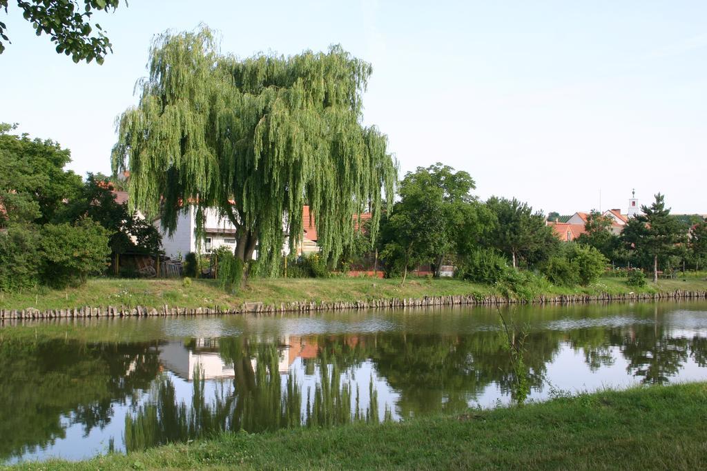 Penzion U Sklepu Hotel Hovorany Luaran gambar